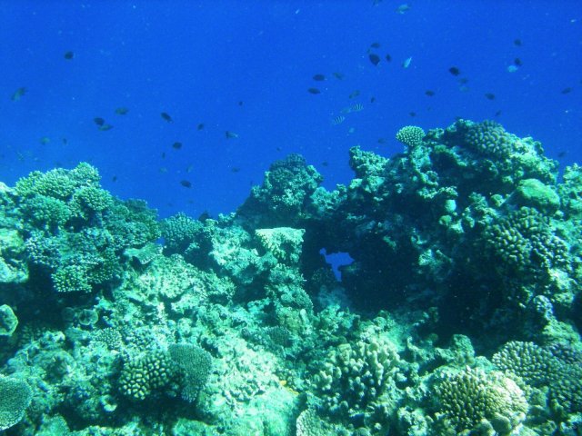 23- Paysage sur le tombant d'une ile pres de Port Morelle 